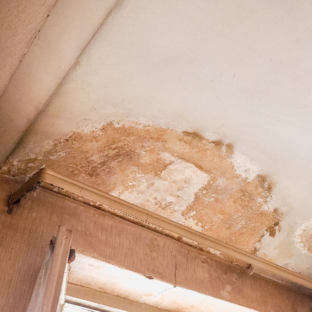 Tratamiento de Humedades